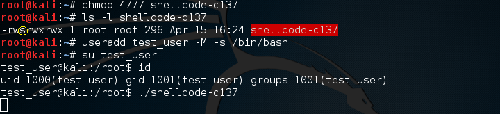 shellcode-c137-test1